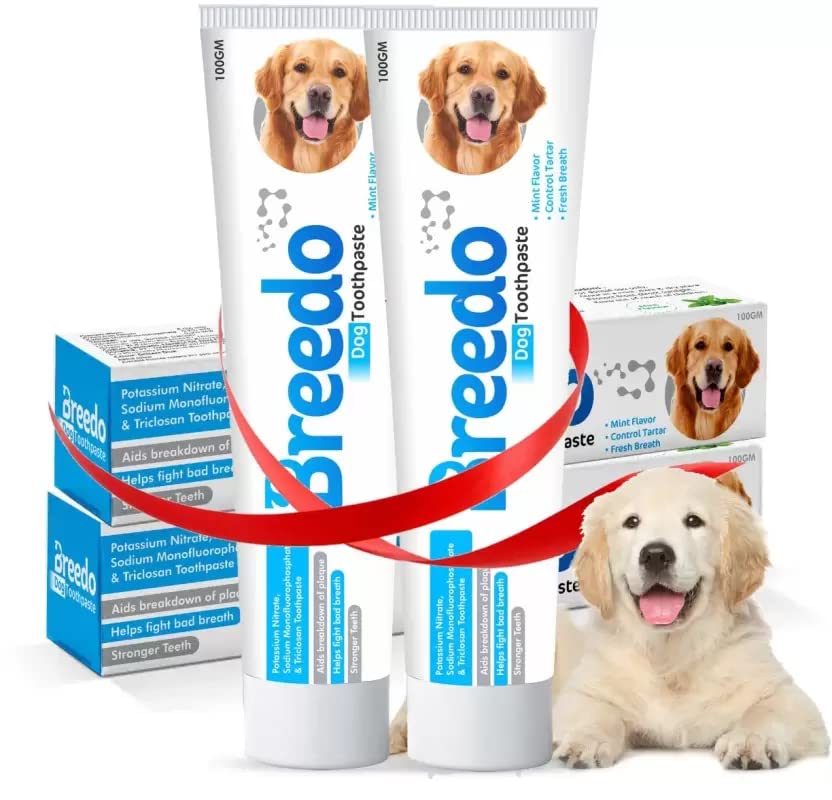 (Pack Of 2) Cool Mint Fresh Breath Toothpaste For Dogs-200G|Soothing Mix Of Mint And Cinnamon Oil Suitable For Dogs And Puppies|Dog Toothpaste|Dog Mouth Freshner