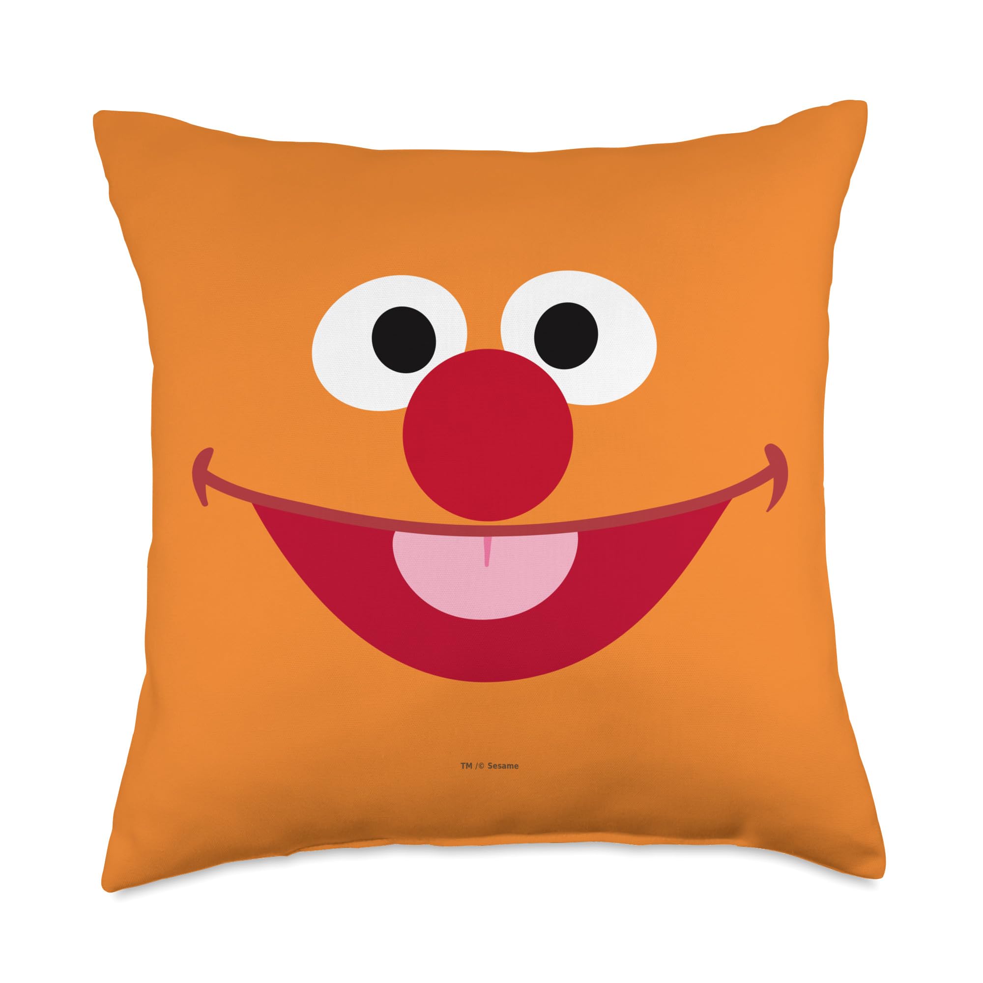 Coussin Ernie Sesame Street idée cadeau originale pour anniversaire d'enfant