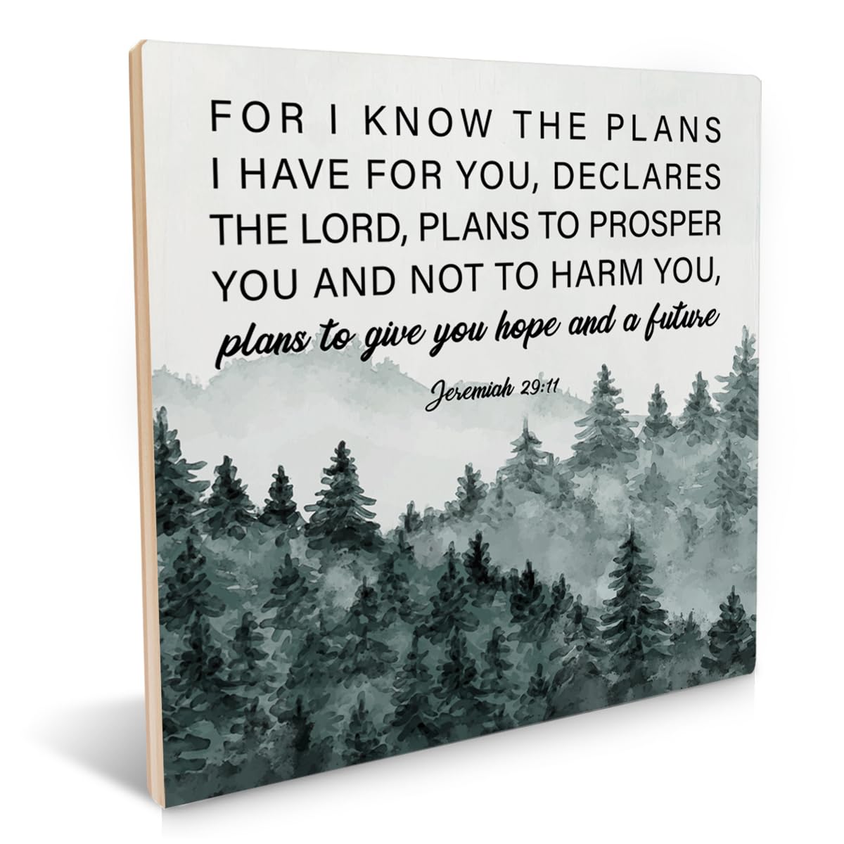Kkcmmy Wood 317 Christian Gift For I Know The Plans Bible Verse Wooden Sign Jeremiah 29:11 Scriptures Wood Plaque Tabletop Signs Decorative Desk Wall Home Decor 5 X 5 Inches