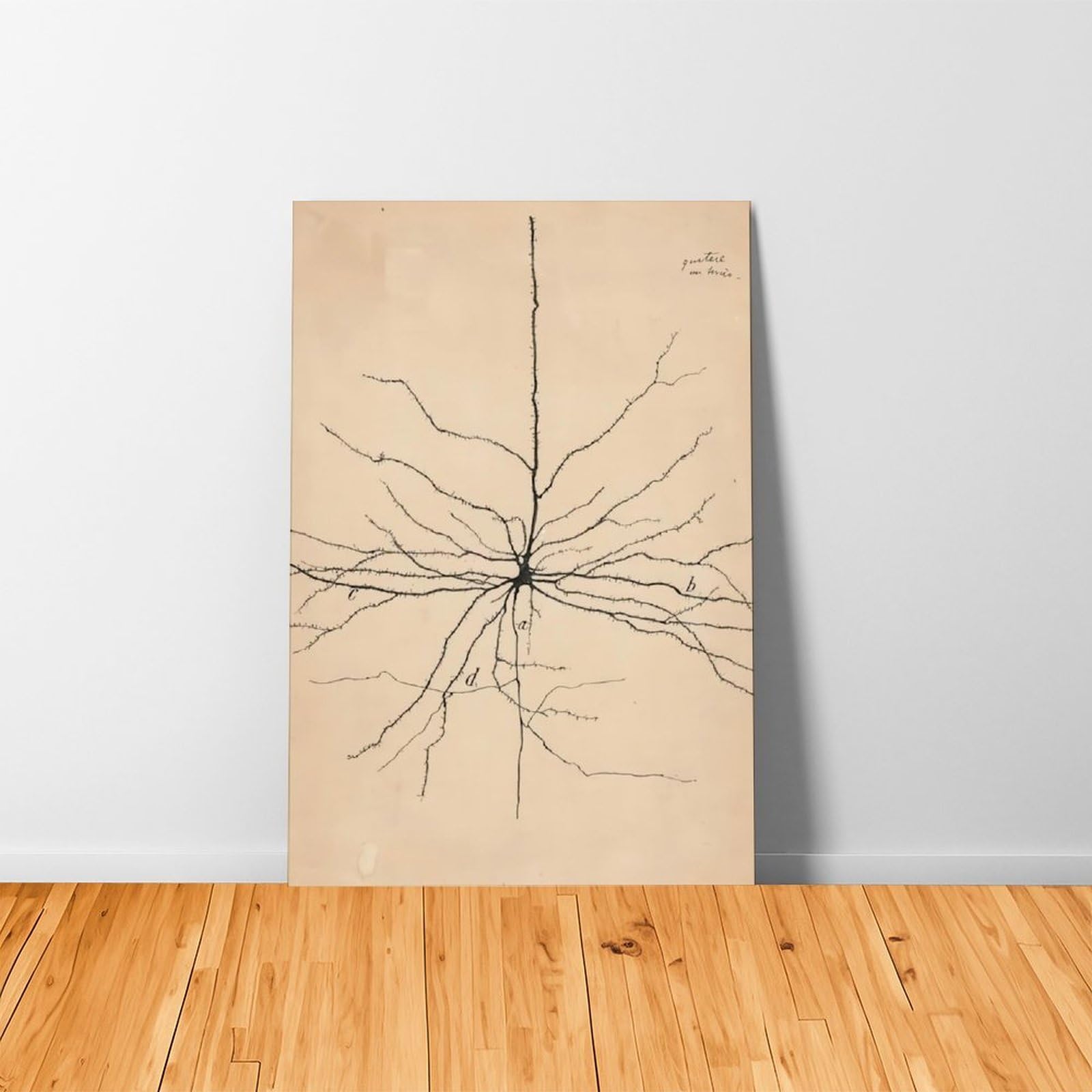 GIEIG Pyramida Neurona Dibujo de Santiago Ramón Y Cajal Póster para Estética de Habitación Lienzo Arte de Pared Marco de 12 x 18 pulgadas (30 x 45 cm)
