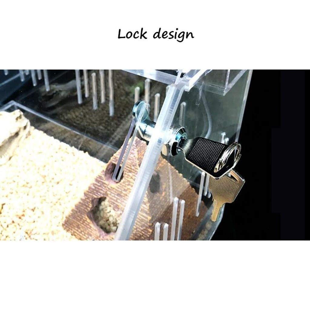 Terrario Gecko ecológico Transparente, Tienda de Mascotas, Nido Aislante para Reptiles, Tanque para Insectos hámster Erizo