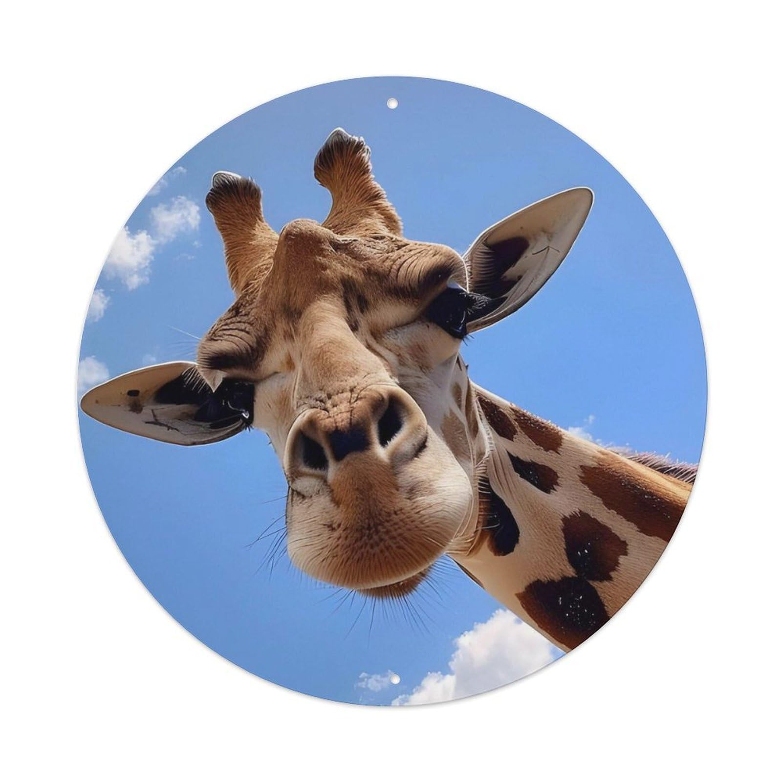 Giraffe Closeup African Savannah Poster Metal Tin Sign