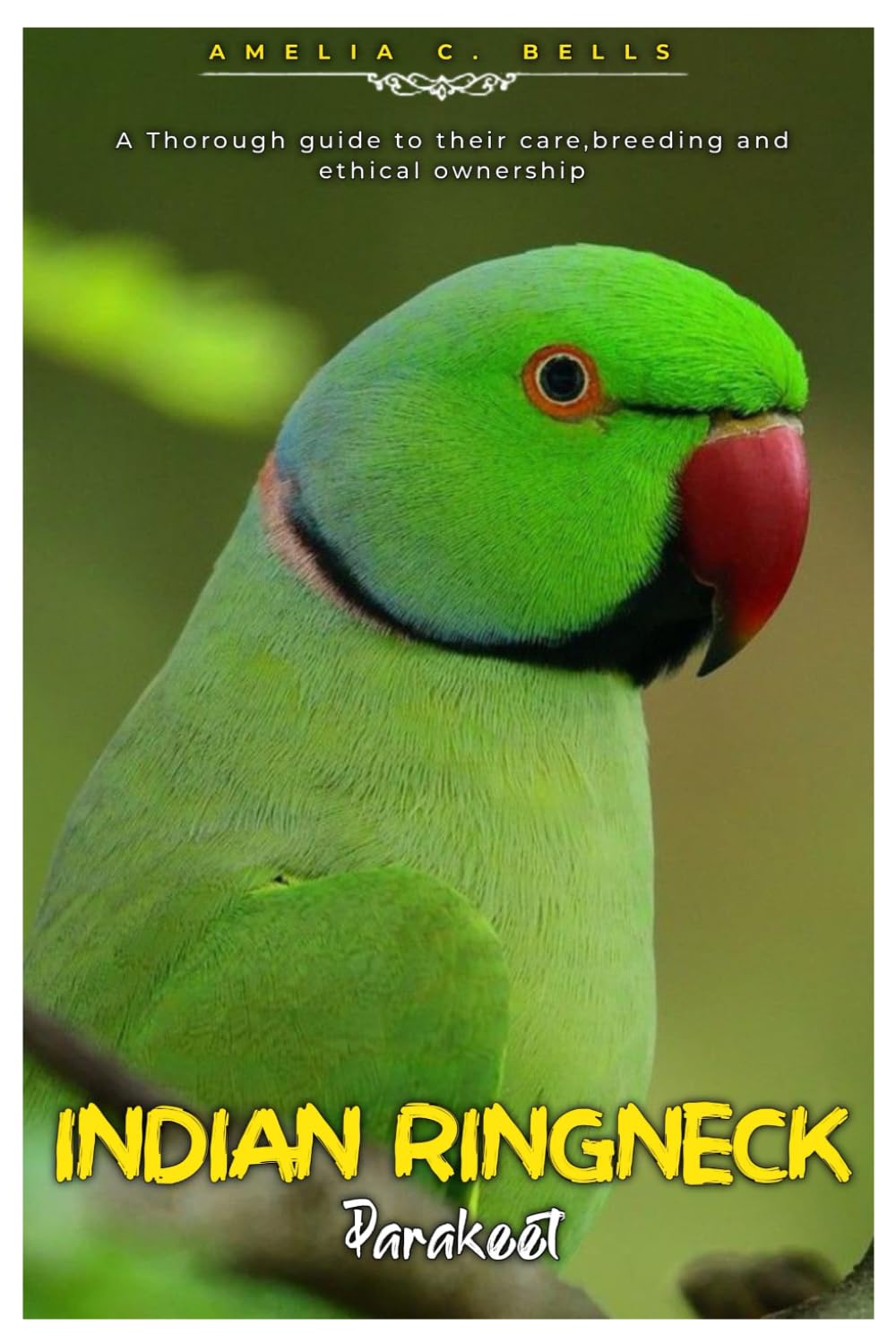 INDIAN RINGNECK Parakeet: A Thorough guide to their care, breeding and ethical ownership