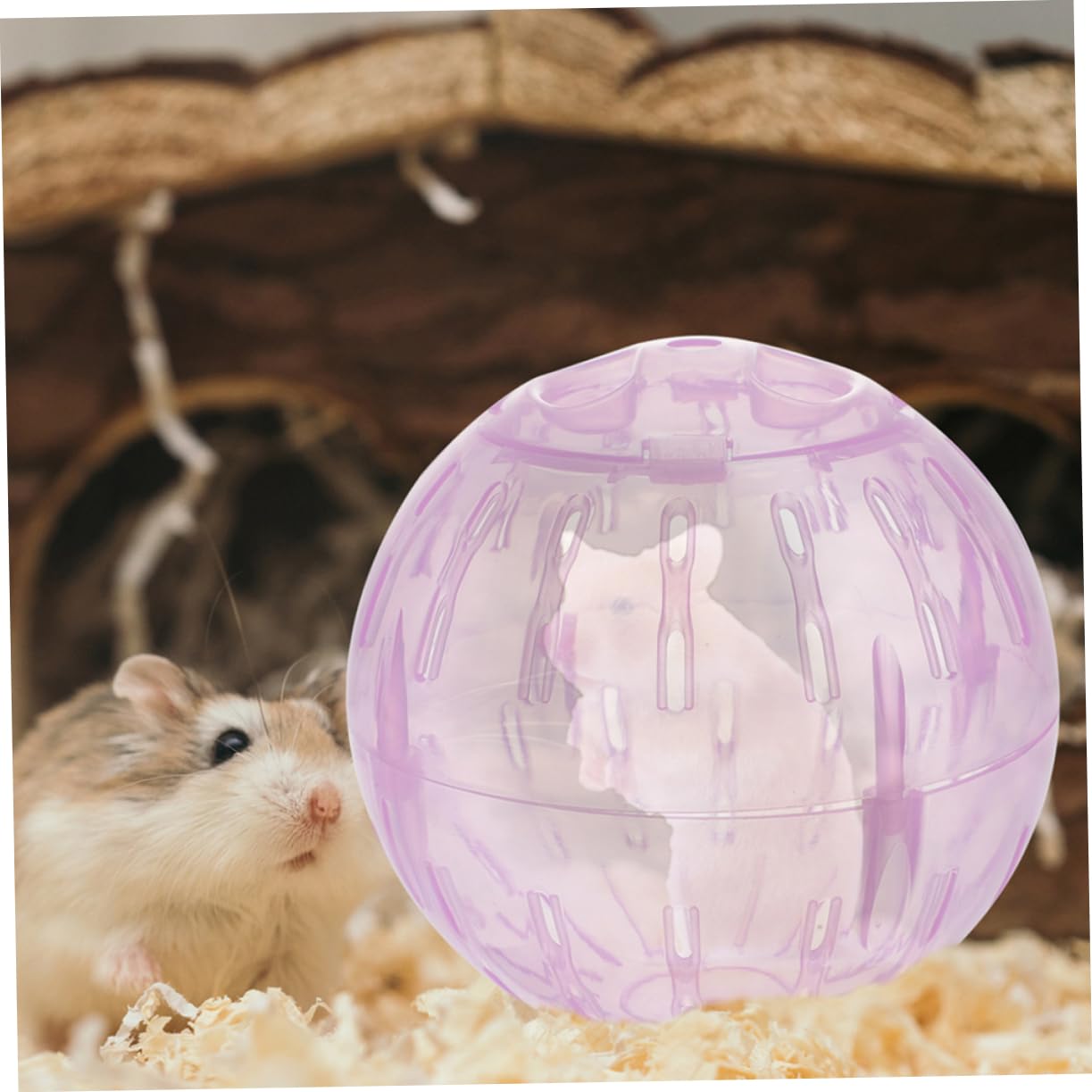 Levemolo 3pcs Chinchilla Wheel for Cage Pet Exercise Ball Hamster Running Toy Abs Material