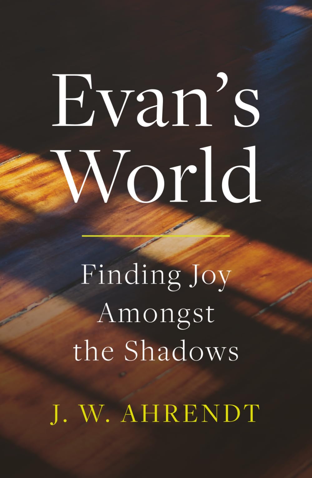 Evan's World: Finding Joy Amongst the Shadows