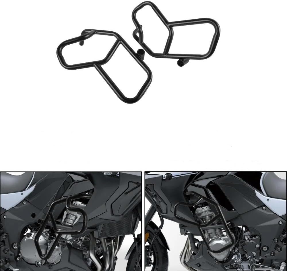 ヤドリギno.34 大型 ☆大きなヤドリギ☆予約販売☆11月～2月頃まで