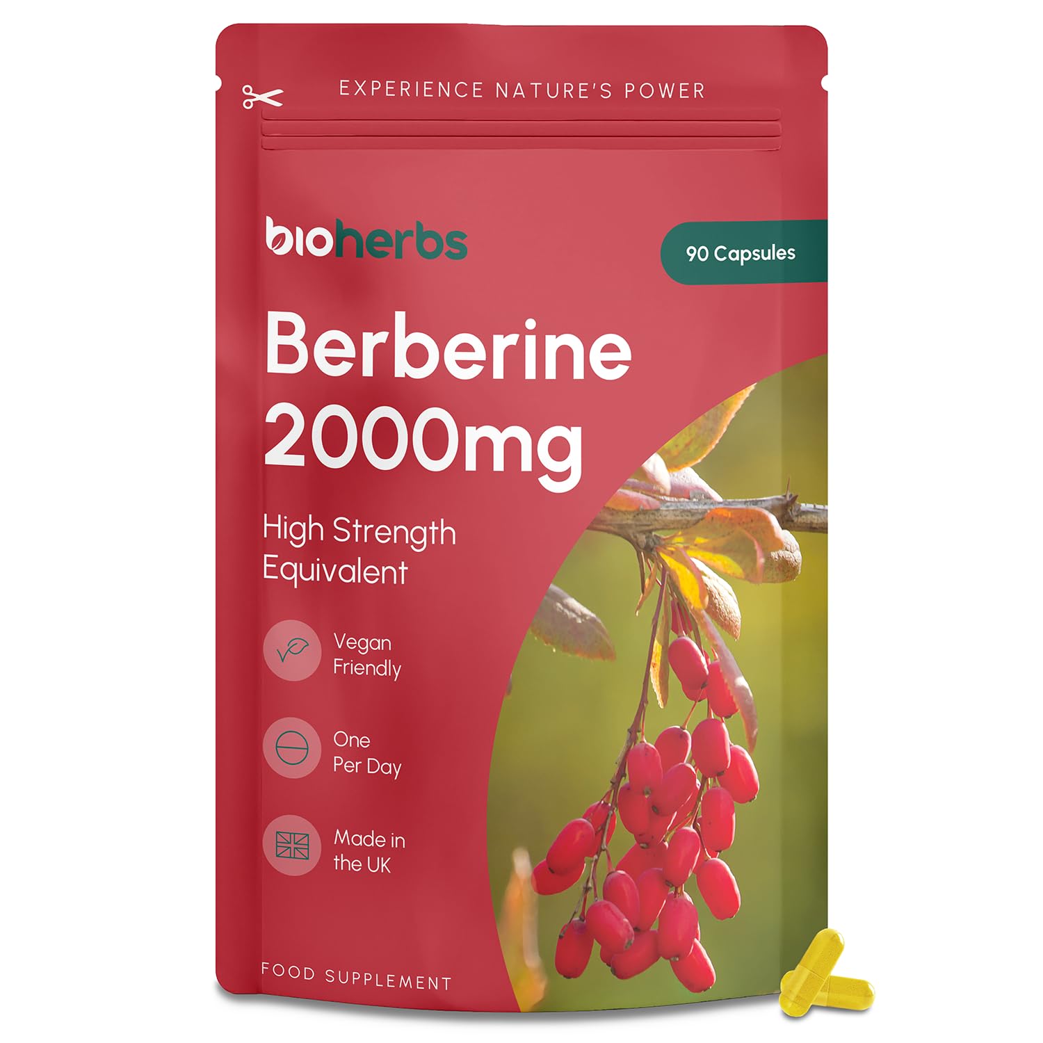 Berberine HCL Supplement High Strength - 2000mg 99% HCL by BioHerbs | 90 One-Per-Day Capsules (3-Month Supply)
