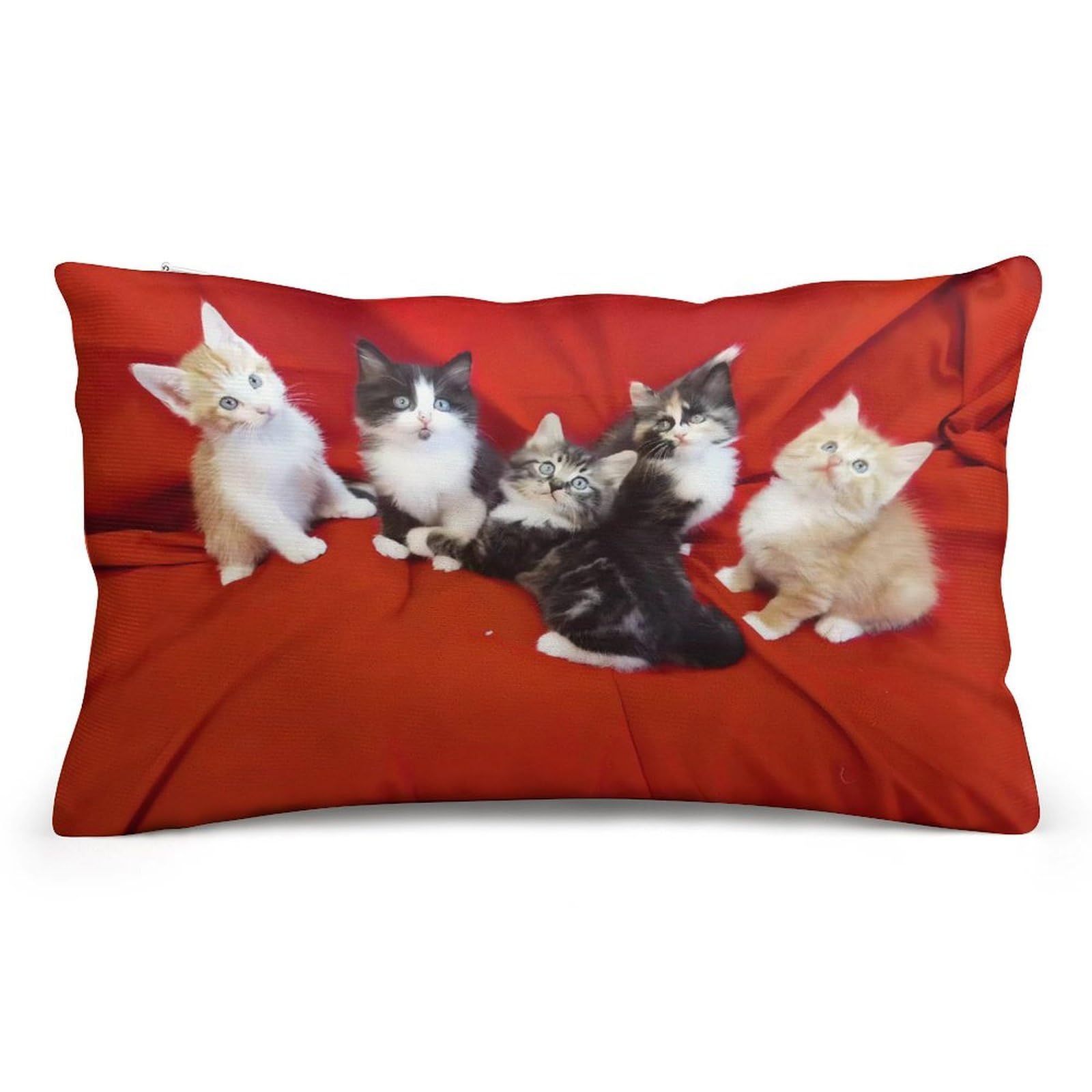 Velvet Pillowcases Standard Size 8"x12", Ultra Soft Breathable Pillow Cases for Bed, Luxury Cozy Fuzzy Pillow Shams, Lumbar Pillow Cover, Cat Cushion Case Home Decor