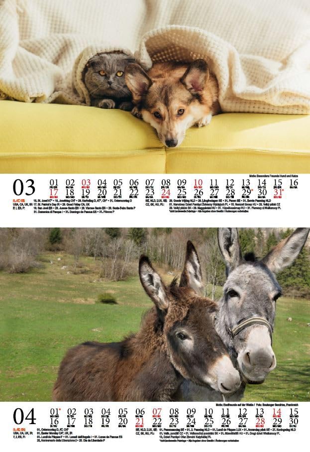 Tierzauber Animal Friends DIN A5 Wall Calendar for 2024 Various Animals and Their Friendships Seelenzauber - Image 3