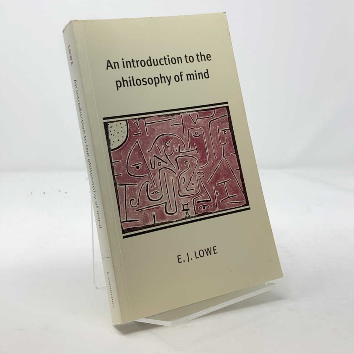 An Introduction to the Philosophy of Mind (Cambridge Introductio