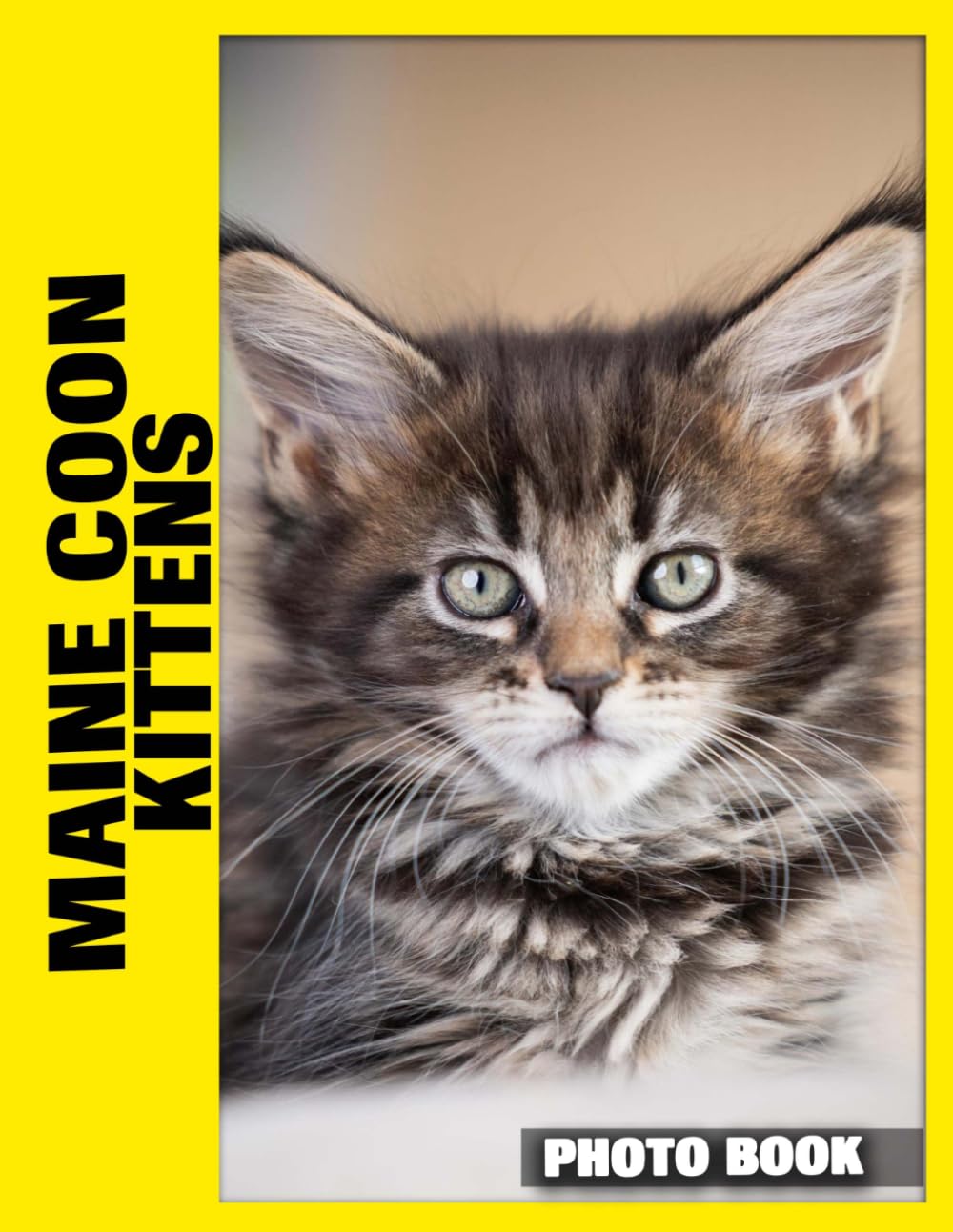 Maine Coon Kittens Photo Book: Fluffy Feline Charm Captured In Adorable Photography With Sweet Kitten Playfulness And Large Maine Coon Breed Personalities