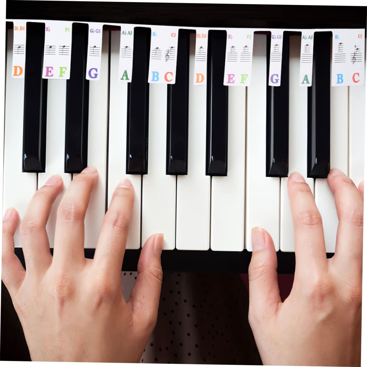 HEMOTON 2 Sets Piano Keyboard Note Strip Non Stick Piano Key Label Numbered Musical Notation (61 Keys)