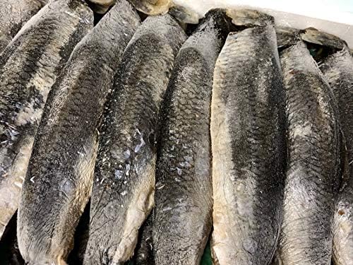 Amazon 身欠きにしん ソフト 焼いても 煮ても美味しい 脂あります おせちにもどうぞ 10 5箱 うまいもの市場 干物 燻製 通販