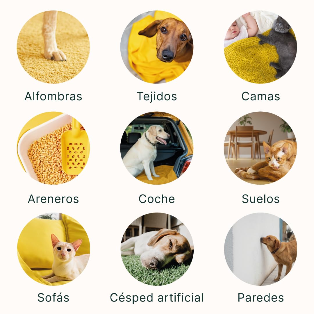 STOP OLORES Neutralise les odeurs générées par les animaux domestiques, tissus, lits, canapé, voiture, bioenzymatique, végétalien, biodégradable