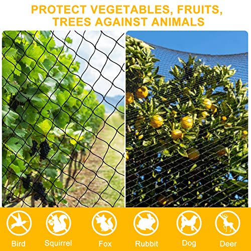 BSTPCOO Bird Netting 50'x50' with 1" Square Mesh Bird Net Garden Nettings for Chicken Coop Roof, Poultry Netting Heavy Duty Nylon Net Aviary Nettings Deer Fence Hawk nets for Chicken Run by BSTPCOO - Image 6