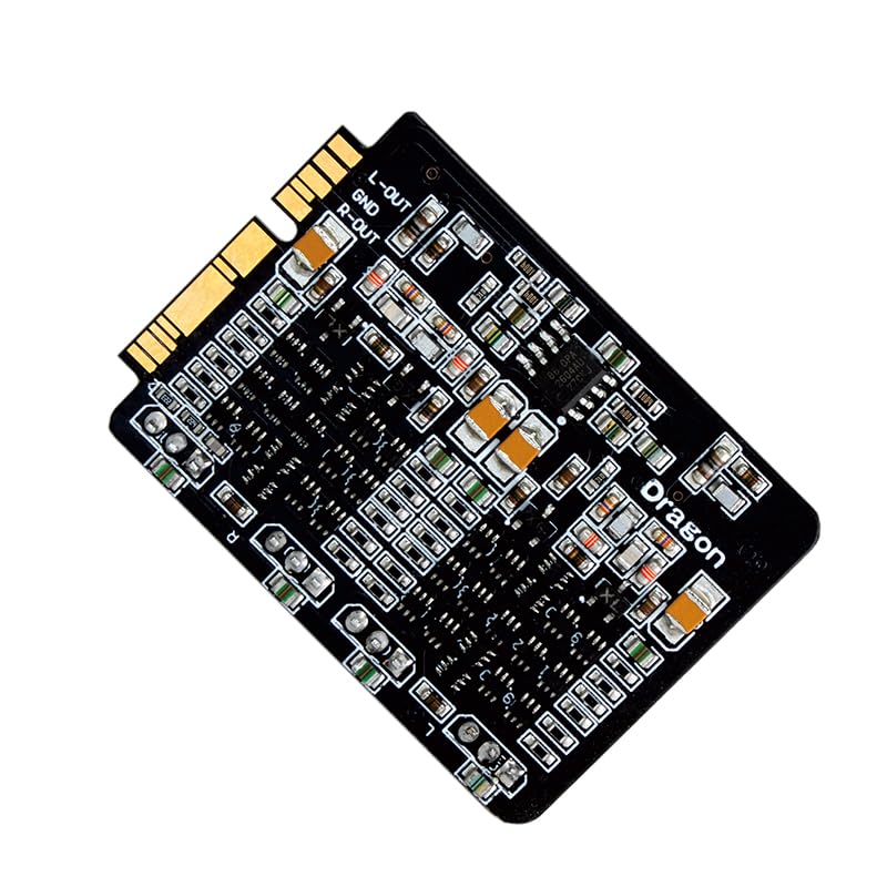 Amazon.co.jp: LIEEWHO ハイエンド完全ディスクリート HIFIMAN