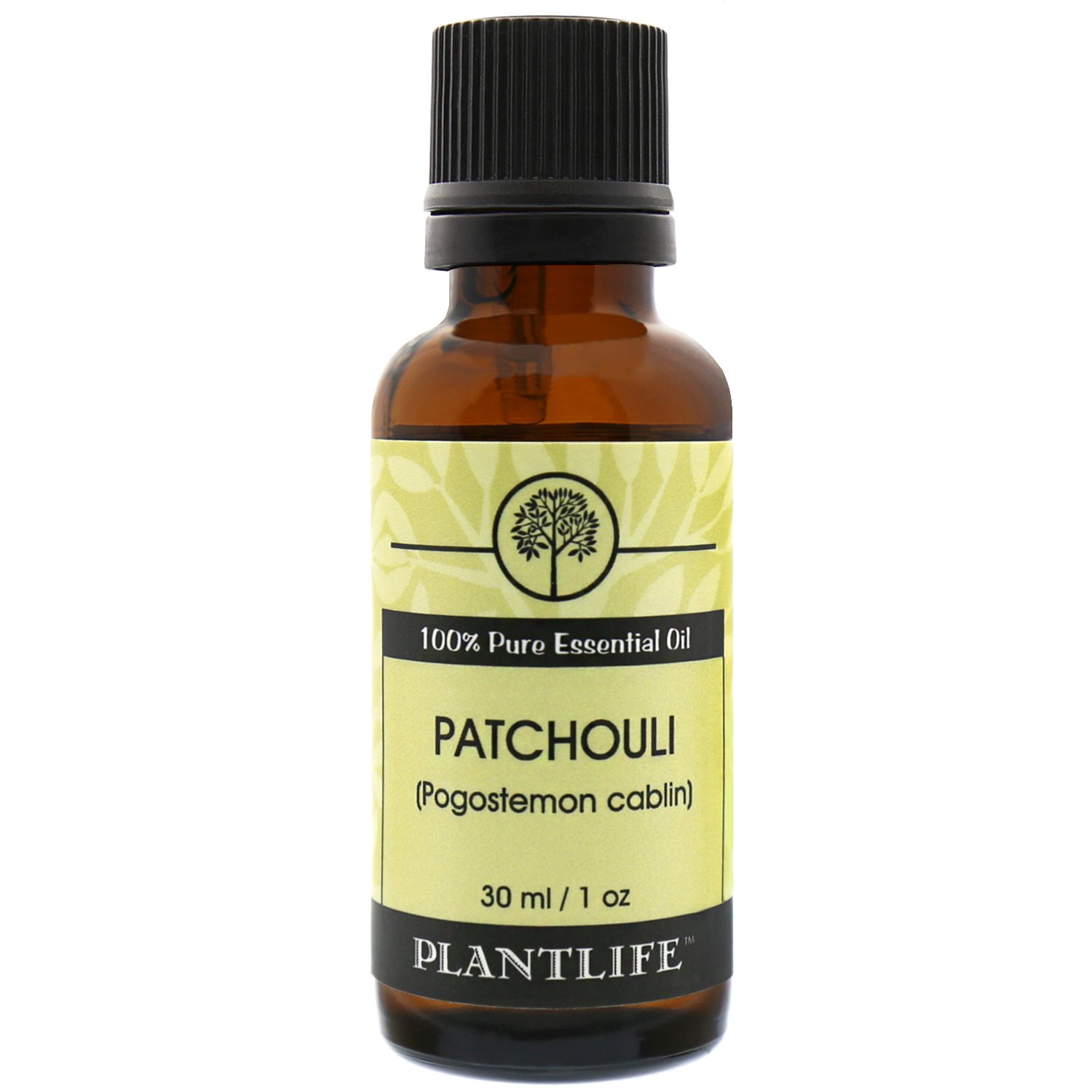 Patchouli Aromatherapy Essential Oil - Straight from The Plant 100% Pure Therapeutic Grade - No Additives or Fillers - 30 ml