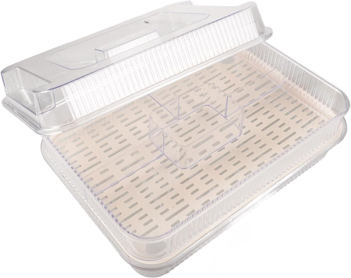 Abaodam Chilled Serving Tray with Lid and Drain Tray, Outdoor Buffet Serving Platter for Cold Food, Portable Ice Cube Storage Box for Camping and Party Use