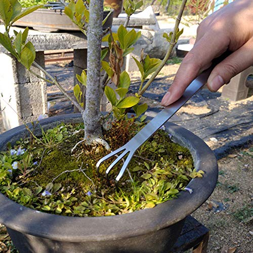 Rastrillo Bonsái de Acero Inoxidable con Espátula miniatura 6