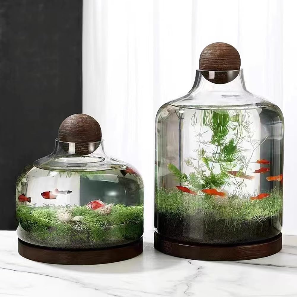 Acquario per Pesci Betta, Moderno Ed Elegante Acquario per Pesci Betta, Acquario in Vetro con Base in Legno, Piccolo Acquario per Pesci Rossi, Boccia in Vetro Ultra Trasparente,L