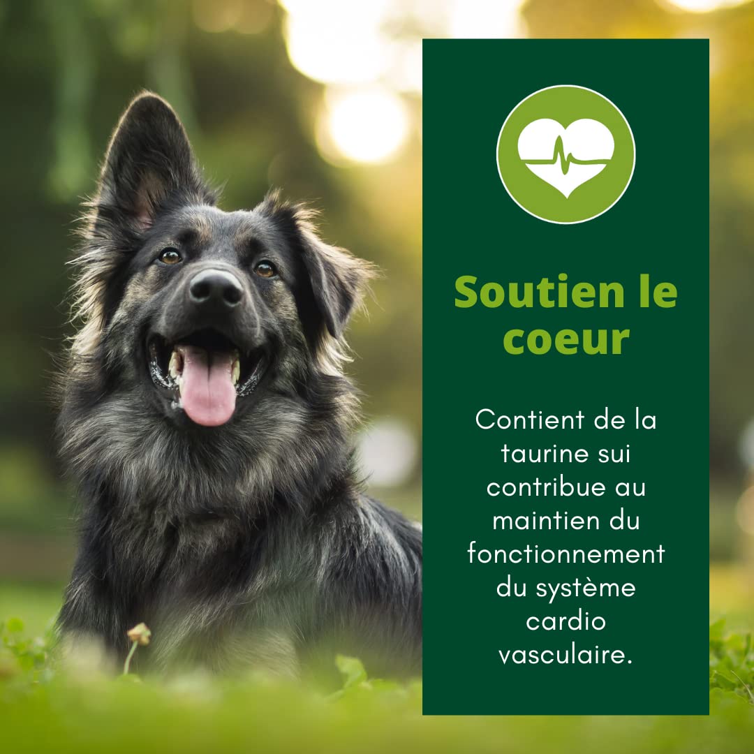 EQUILIBRE & INSTINCT - Chien Adulte - Pâtée Nourriture Humide Volaille - Transit Digestif Optimal - Recette Complète Formulée avec des Vétérinaires - 18x300g - Fabriqué en France