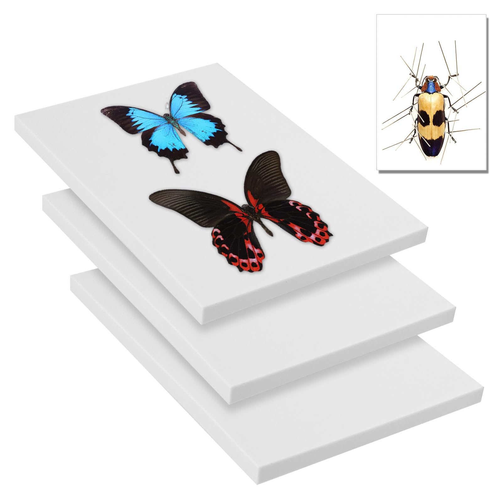 Saihisday 3Pcs insetto pinning board esemplare pannello di visualizzazione EVA Foam Boards, campione diffusione bordo farfalla spargere ali per la scienza educazione progetto/raccolta di insetti