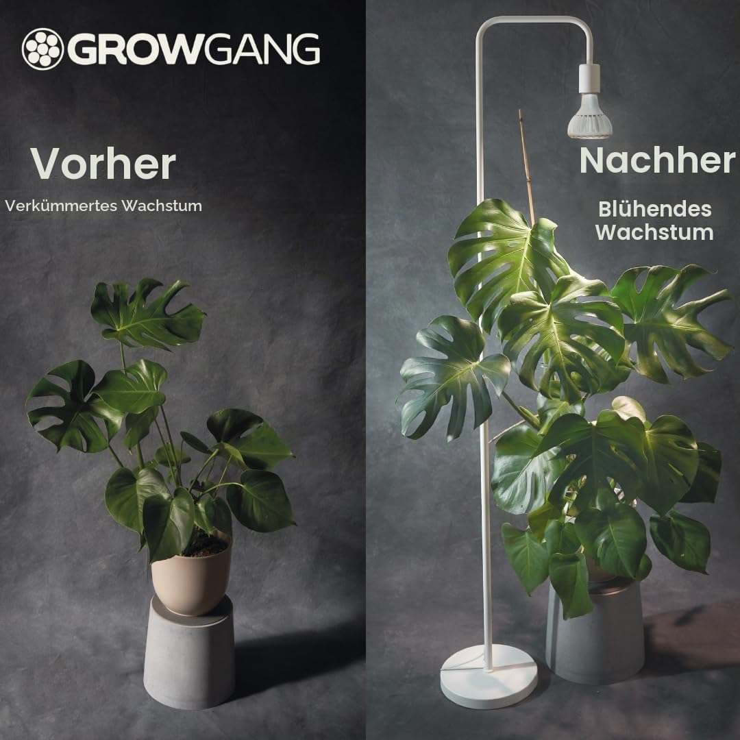 Pianta 18W Vollspektrum LED Pflanzenlampe für Zimmerpflanzen – Wachstumslampe für Sukkulenten, Kräuter & Kakteen, Keimung von Sämlingen, E27, PPF μmol/s 33,1 (Schwarz, E27)