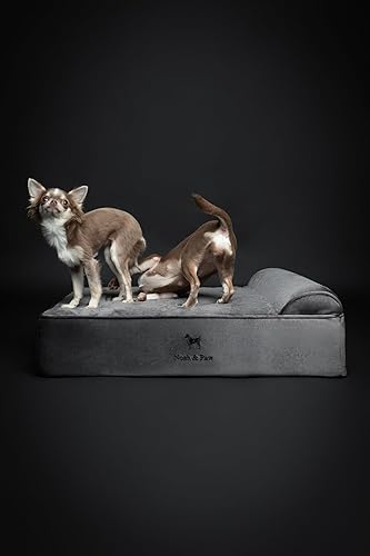 Miniatura 5 de NOAH & PAW Cama para perro, 28 x 23 x 7.5 pulgadas, camas ortopédicas para perros para mascotas de tamaño mediano, espuma viscoelástica de cáscara