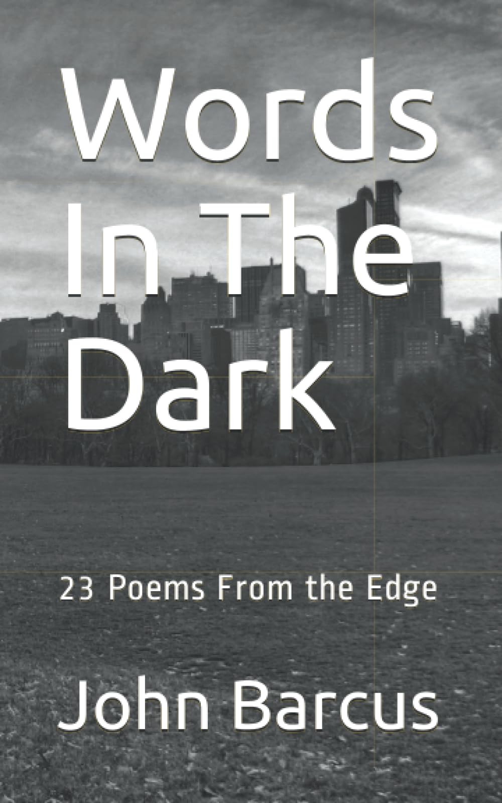 Words In The Dark: 23 Poems From the Edge