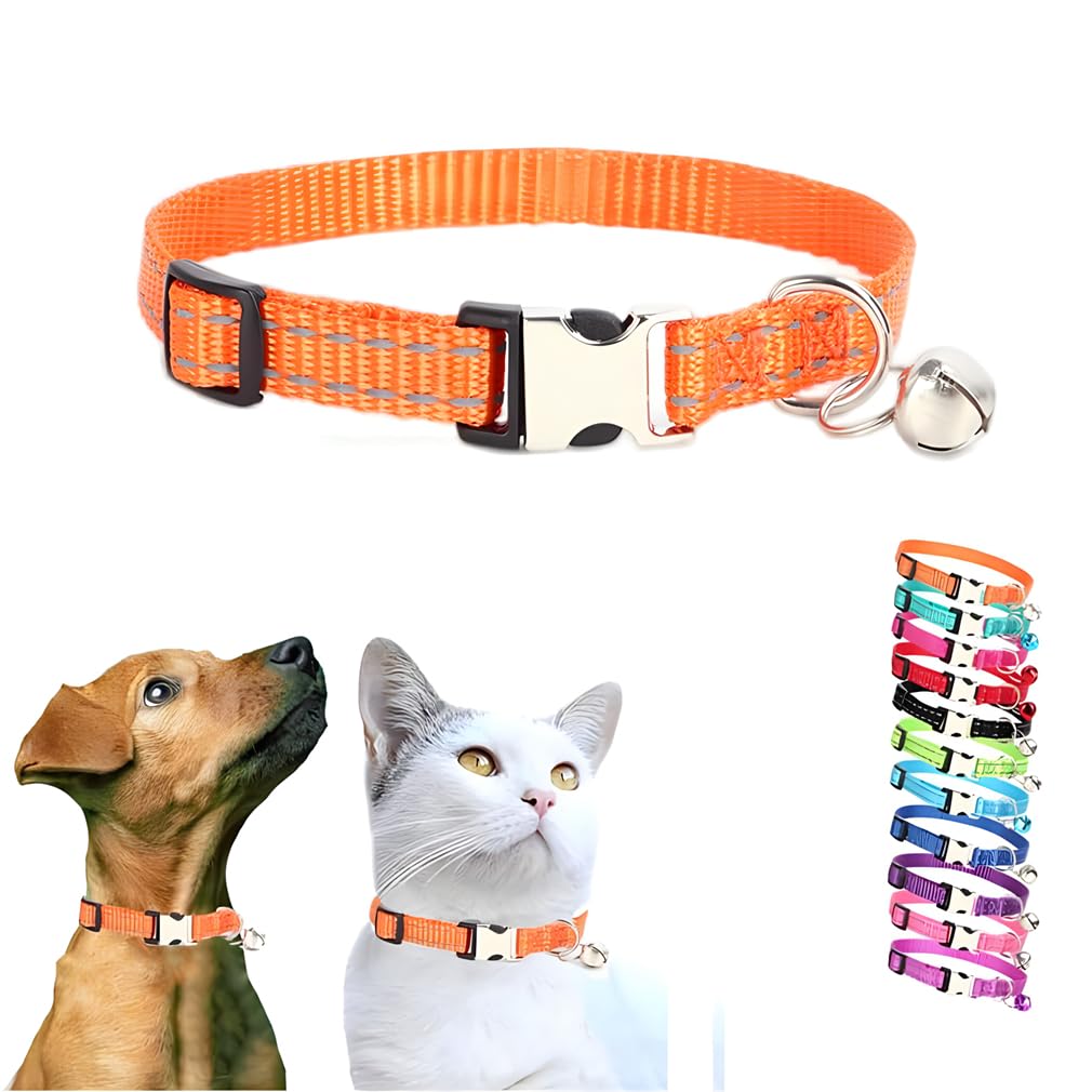 Collier pour chat réflechissant orange taille XS muni d'une boucle en métal durable
