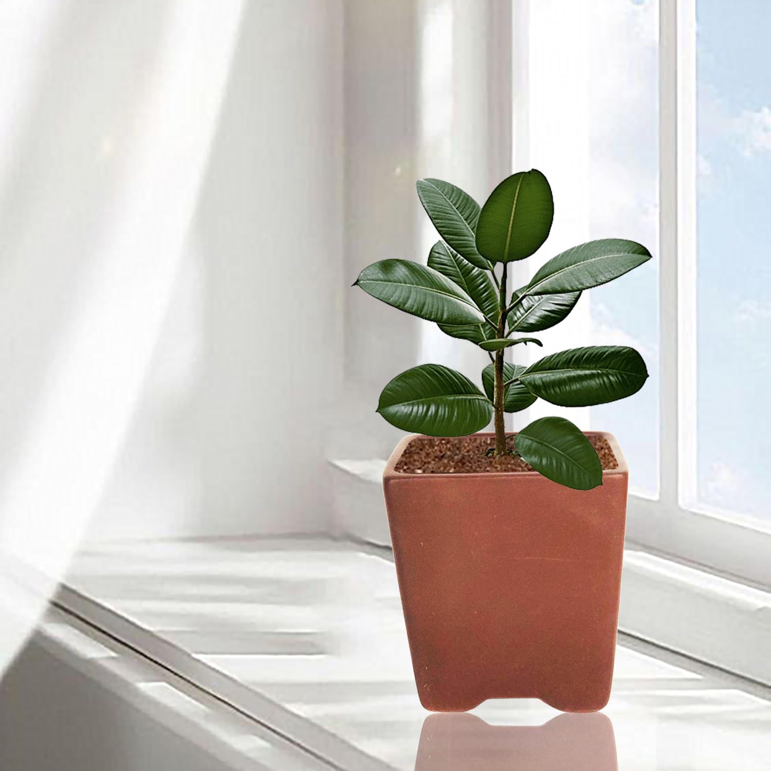 Lasaki Mini Mint Ceramic Pots - Indoor Outdoor Planters -8