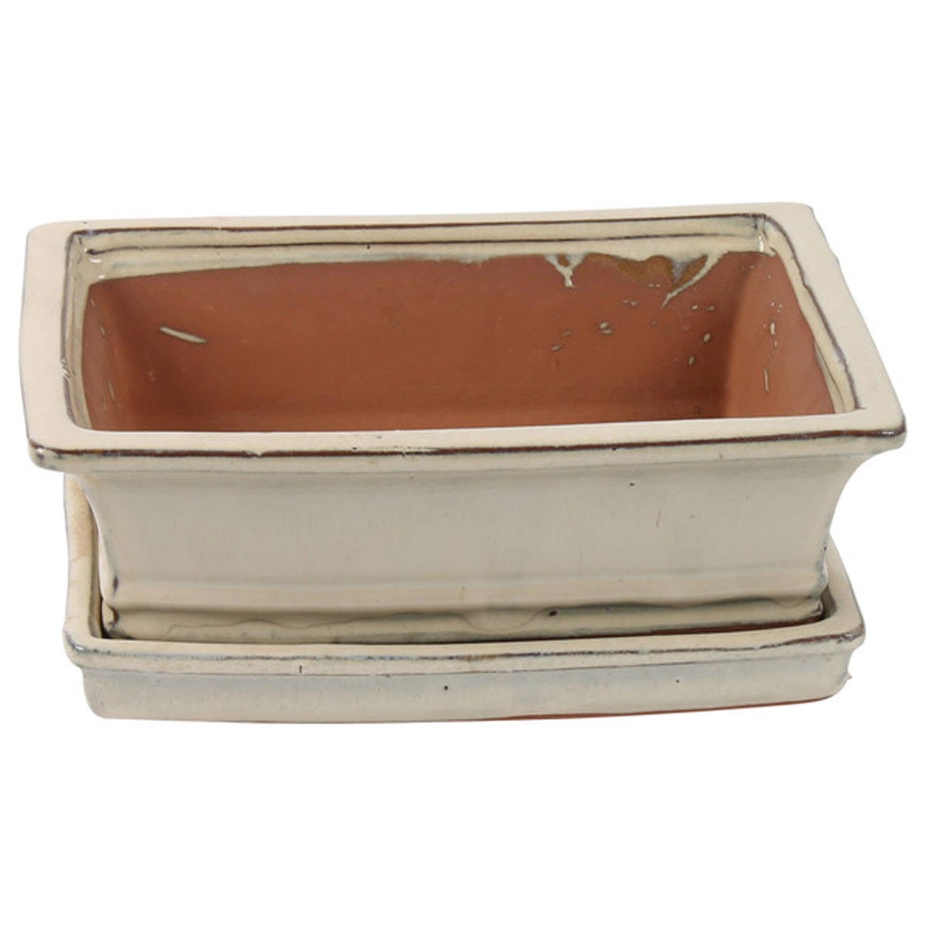 Perfect Plants White Bonsai Pot With Saucer - Rectangular 20Cm - Cream - Perfect For Bonsai Trees And Succulents