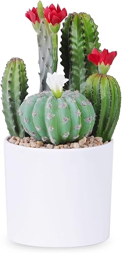 Cactus artificial de flores artificiales, suculentas, planta suculenta falsa de 9.8 pulgadas para decoración de escritorio, hogar, oficina, 1 unidad
