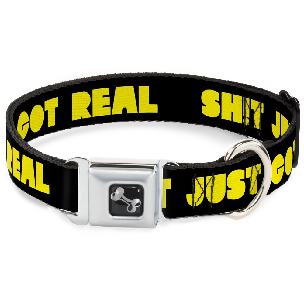 Collier pour Chien Ceinture de Sécurité Grande Taille Idéal pour Promenades Urbaines
