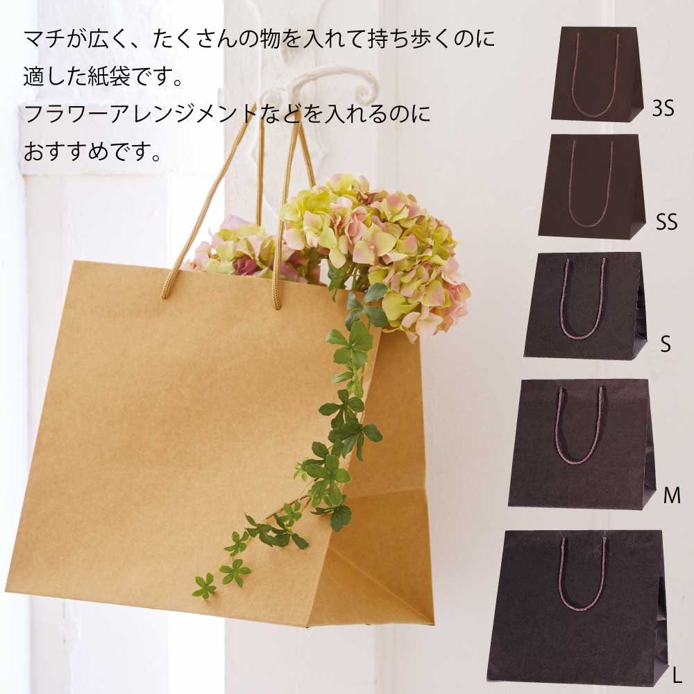 Amazon.co.jp: ヘイコー 手提 紙袋 カラーアレンジバッグ M コゲチャ