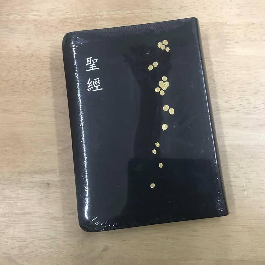 聖經：和合本(黑色燙金大字紅字索引精裝)/圣经：和合本(黑色烫金大字红字索引精装 Amazon | 聖經：和合本(黑色燙金大字紅字索引精裝)/圣经：和合本