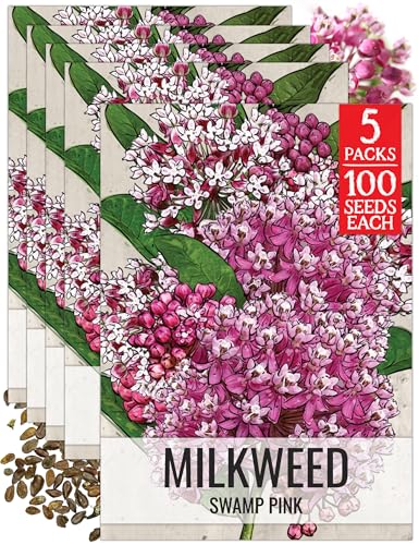 Image of Seed Needs Pink Swamp Milkweed Seeds for Monarch Butterflies 5 Packs