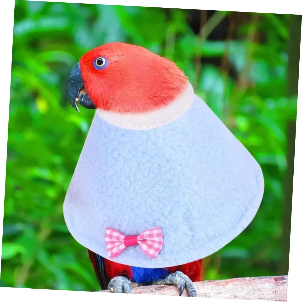 Abaodam Pet Bird Recovery Collar Elizabethan Ring with Soft Material Scratch-Free for Parrots Dogs Random Color