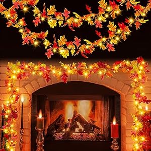 Fall decorations fall garland with lights 9ft plug in lighted thanksgiving garland with 50 incandescent bulbs fall decor lights for outdoor indoor home party autumn halloween fall harvest decor  urban country home decor