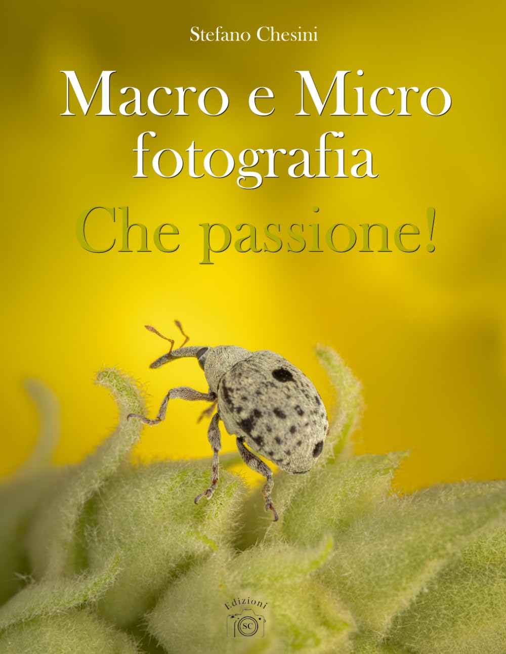 Macro e Micro fotografia. Che passione!