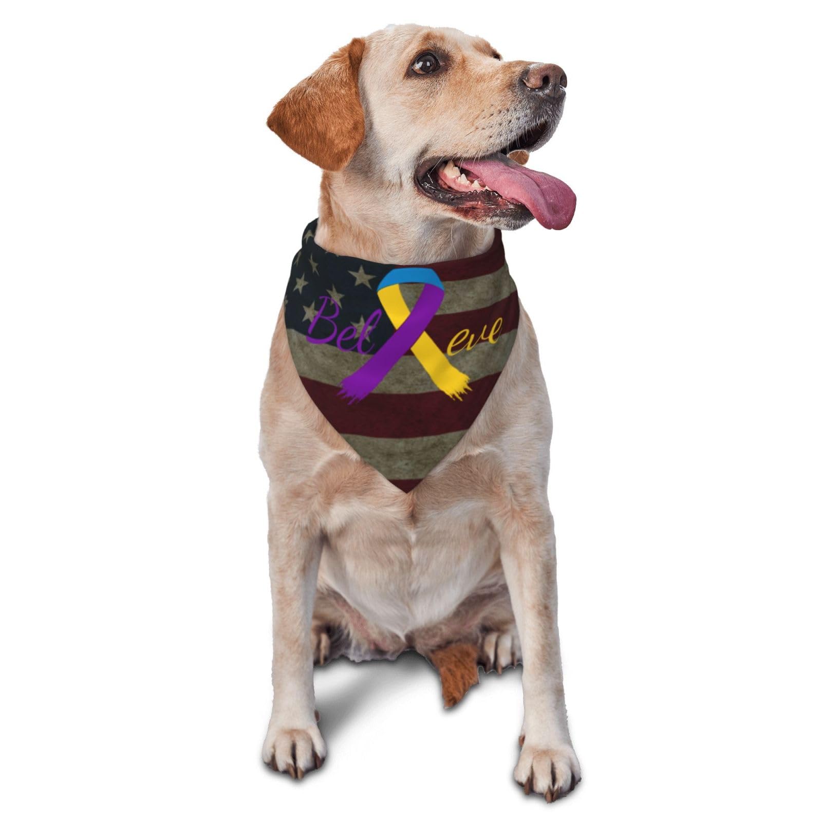 Cancer Believe Bladder Cancer Yellow Purple Ribbon Dog Scarf Pet Bandana Cat Pet Bibs