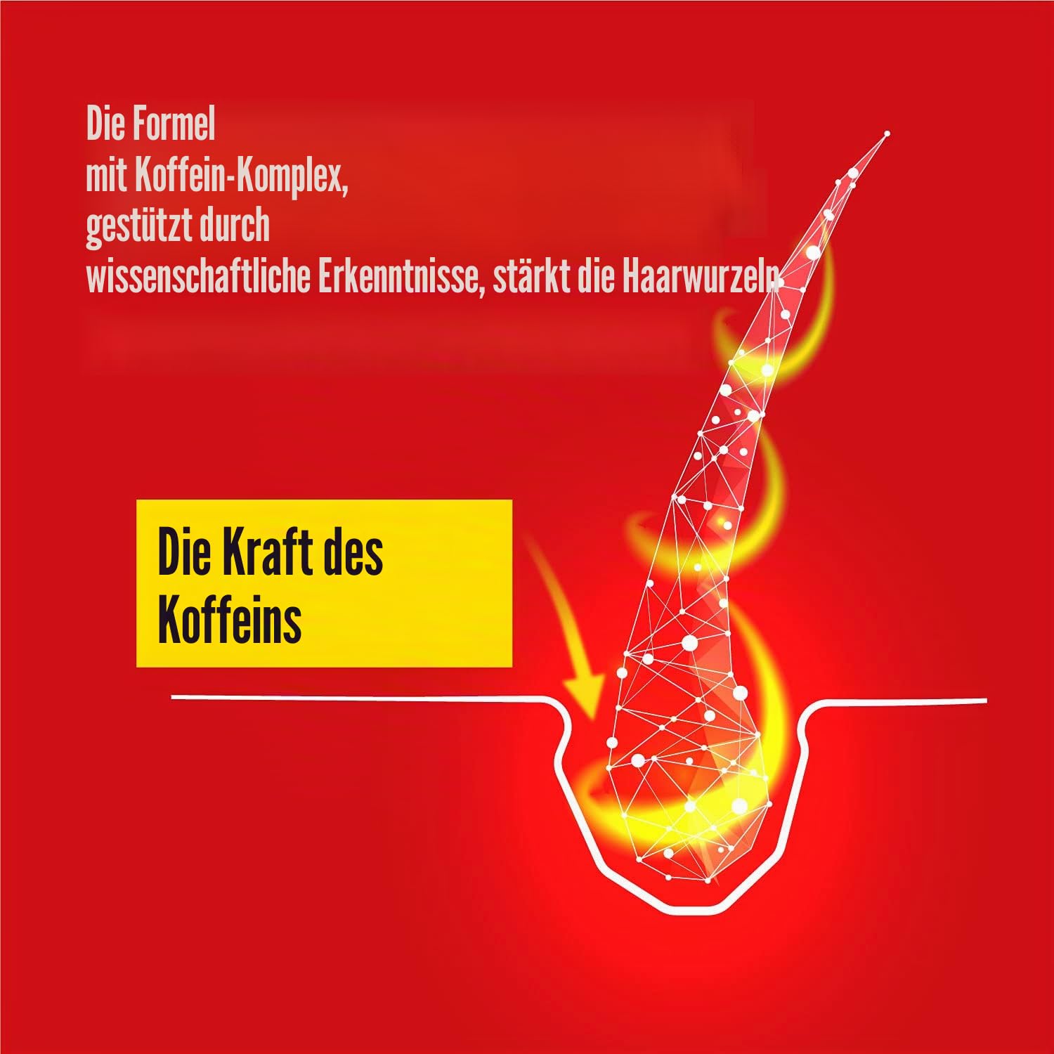 Alpecin Coffein C1 Shampoo 3x250ml | Anti-Haarausfall Shampoo Für Männer | Stärkung Gegen Erblichen Haarausfall