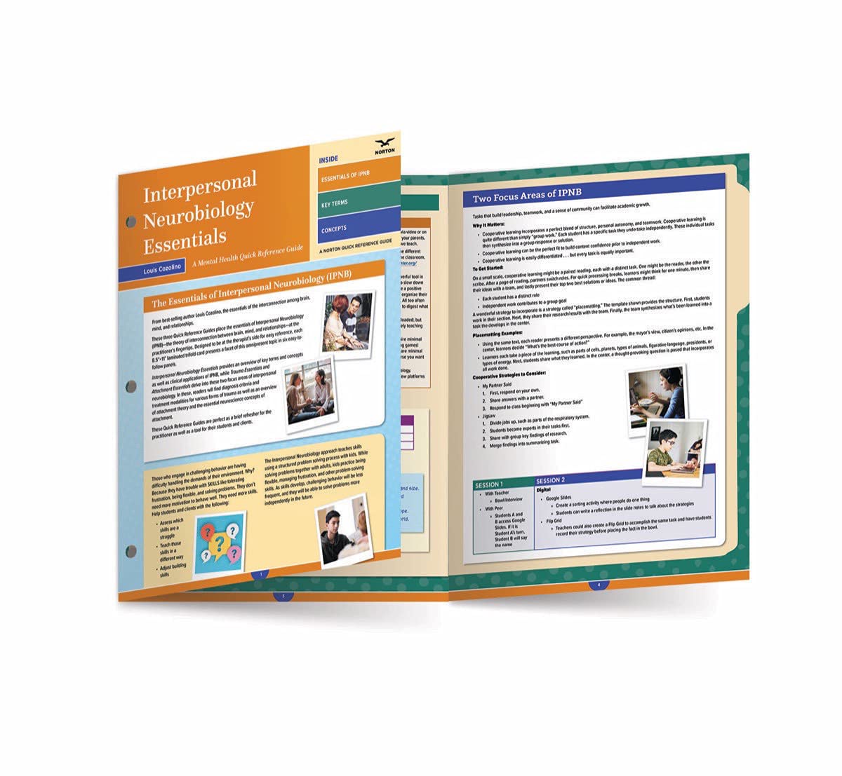 Interpersonal Neurobiology Essentials: A Mental Health Quick Reference Guide: A Mental Health Quick Reference Guide (A Norton Quick Reference Guide): 0 (Norton Series on Interpersonal Neurobiology)
