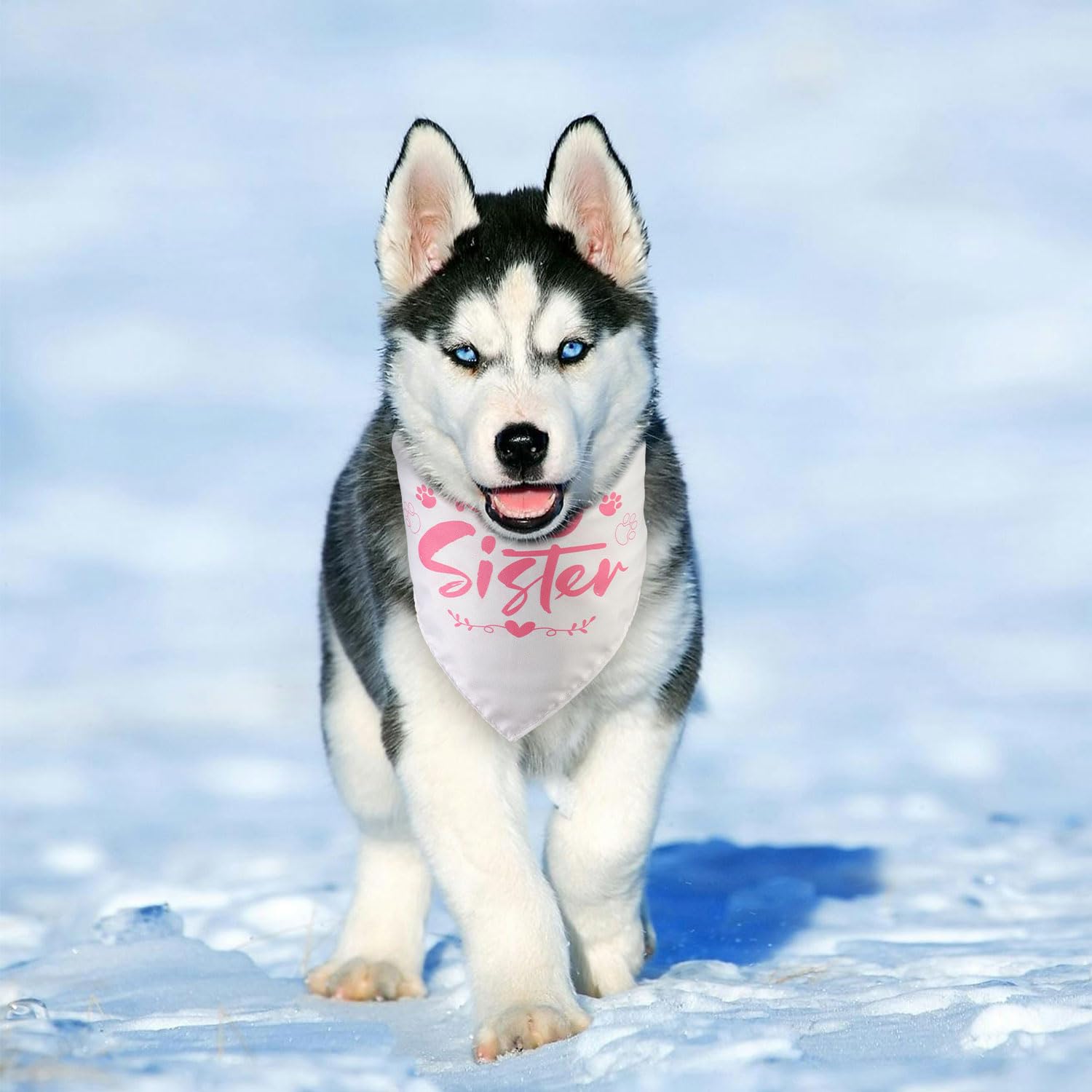 BOXOB 2 Pezzi Bandana per Cani Gravidanza, Bavaglino Triangolare per Animali Domestici Sicurezza Bambino Addestramento Fascia Sorella Maggiore Regalo