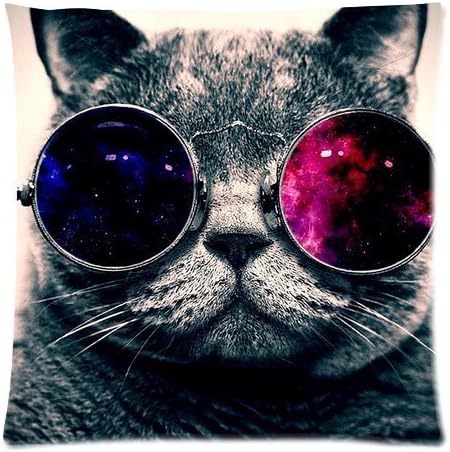 JDSitem Lovely Cool Galaxy Hipster Cat Wear Glasses 18 by 18 Inch Zippered Cotton And Polyester Square Pillowcases Protector Case