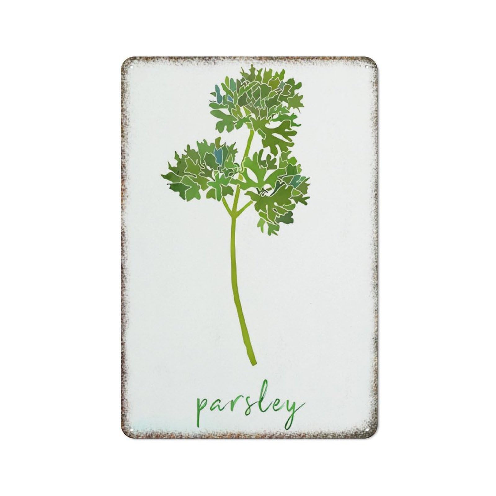 Parsley Herb Kitchen Watercolor Poster High Gloss Vintage Metal Practical Household Gift Wall Decor 8x12 Inch