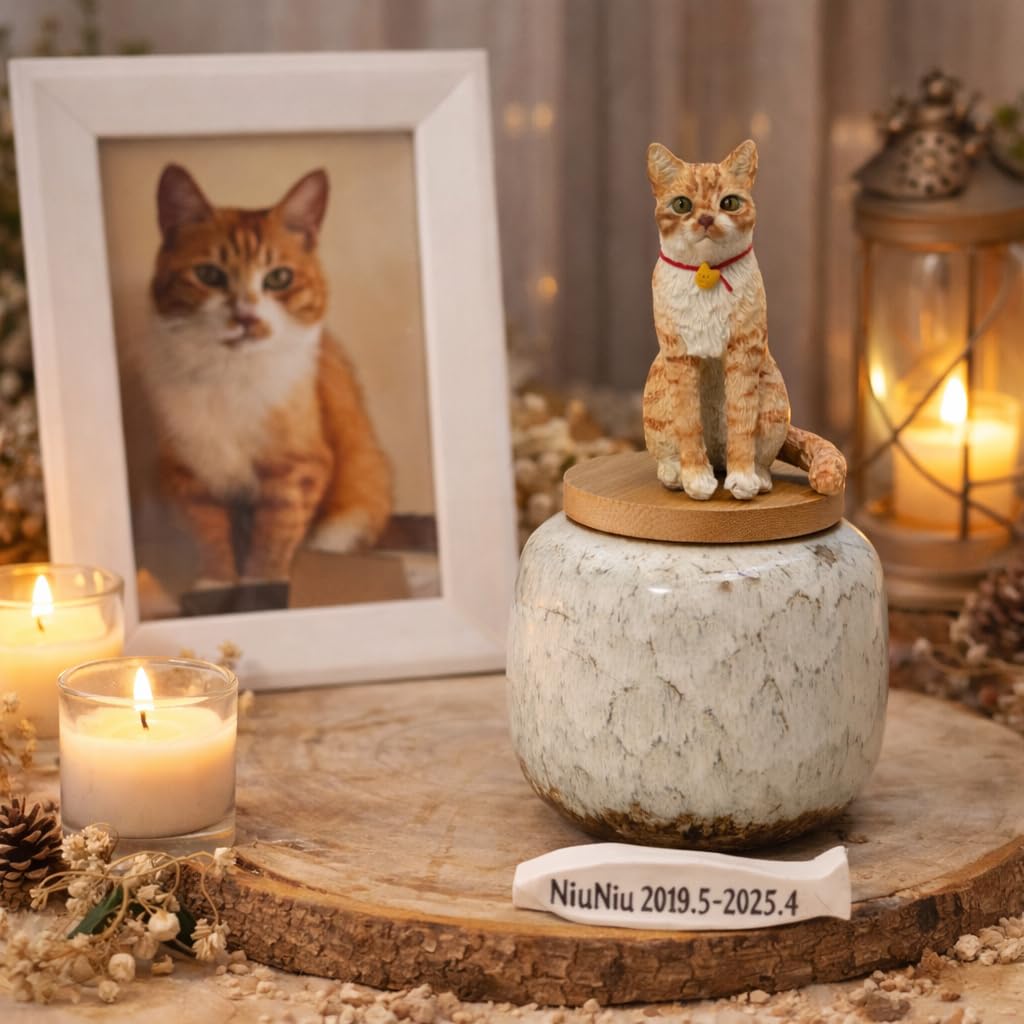 Novela Statuetta 3D Bobblehead personalizzata con urna cremazione in ceramica, scultura fatta a mano di cane/gatto da foto, nome e date personalizzati