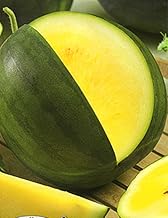 Golden Hills Farm Hybrid yellow watermelon yellow flesh 10+ Seeds (yellowbl47_Baz)