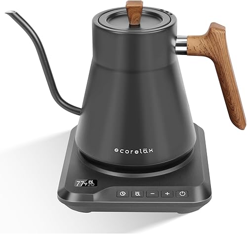 Ecorelax Hervidor eléctrico de cuello de cisne con control de temperatura preciso de 1 , 1200 W para café y té, 100% acero inoxidable, hervir