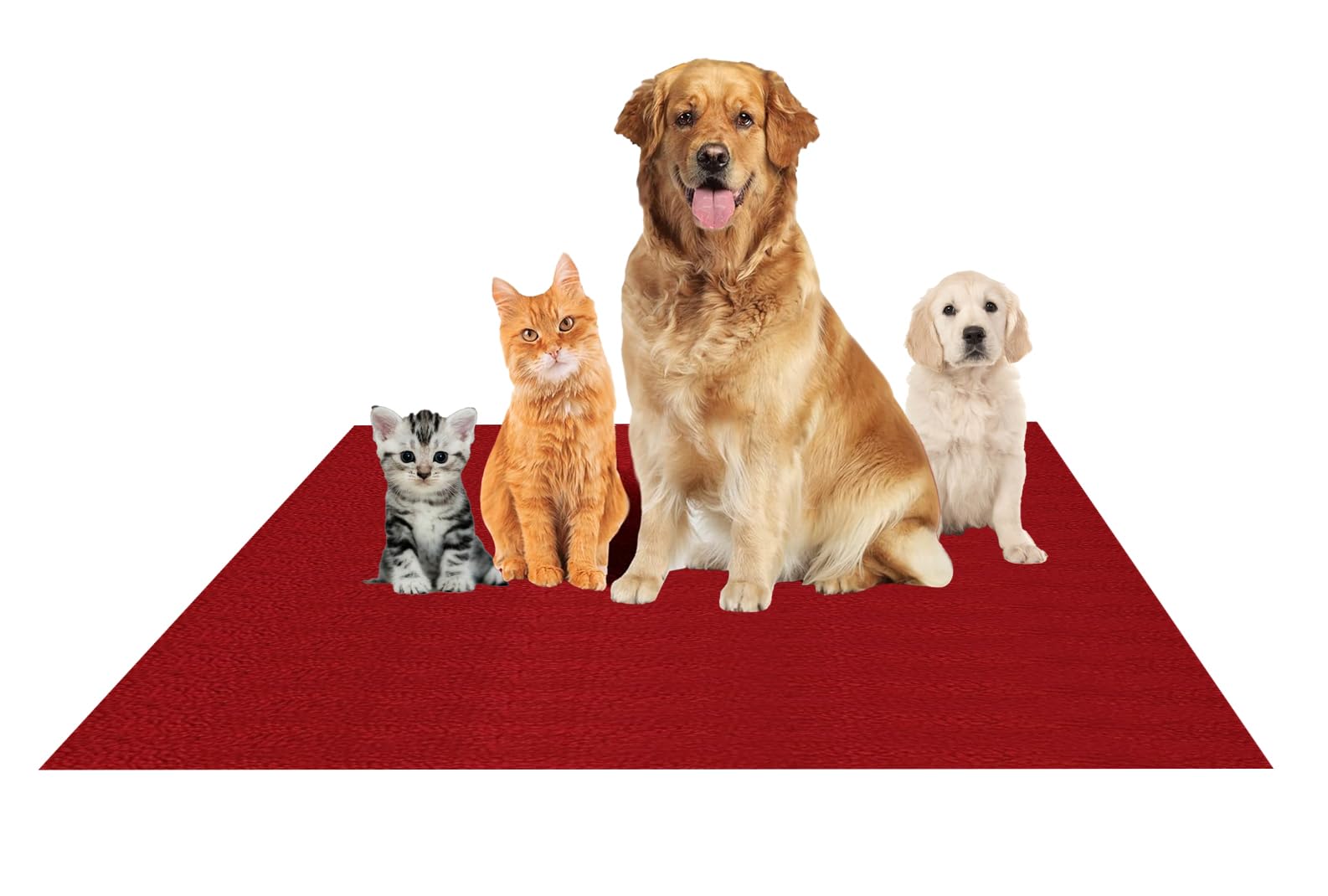 See full amazon price history chart for Petmaestro Waterproof Reusable Washable Pee Pads for Dogs (Medium) (70cm x 100cm) Petmaestro Waterproof Reusable Washable Pee Pads for Dogs (Medium) (70cm x 100cm) (B0CWLHV1GG) Amazon Price History, Amazon Price Tracker